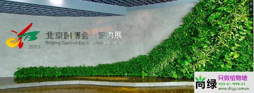 园博会植物墙