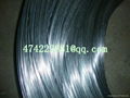 galvanized binding wire 1