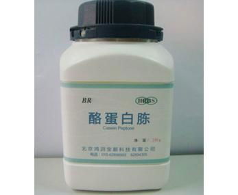 Casein Peptone