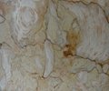 High quality Butterfly Beige Marble  2