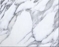 Arabescato Corchia Marble wholesale