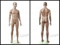 African male mannequin realistic male mannequins 3