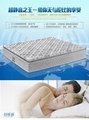 三层精致加厚超软静音床垫 进口泰国乳胶加厚床垫 双面使用30CM 1