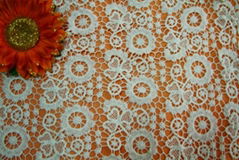 cotton lace fabric