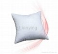 cushion pillow inner 1