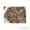 Raw Cashew Nuts In Shell 4