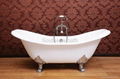 Clawfoot bathtub 1