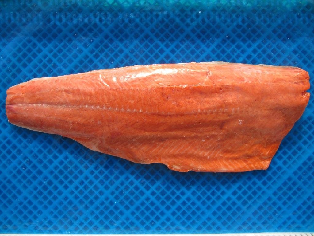 Chum Salmon Fillet 3