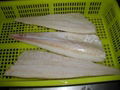 Frozen Pacific Cod Fillet