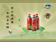 500ml Bottle Wild Jujube drink