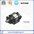 Gear Pump