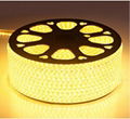 100m/roll led strip light 220-240v