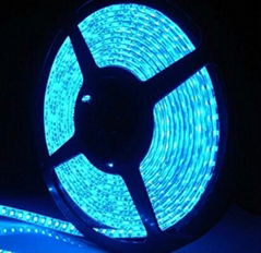 3528/5050 outdoor led strip light