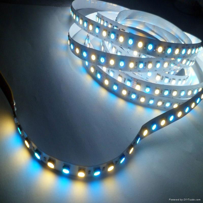 120LEDs 5050 RGBW LED Strip Light  4