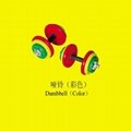 colored  dumbbell
