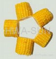 frozen sweet corn 2