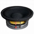 10-inch High Efficiency Pro Audio