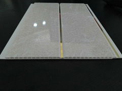 Building Finishing Materials PVC Drop Ceiling Panels