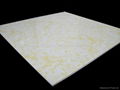 Building Material PVC Shower Wall Panels 3