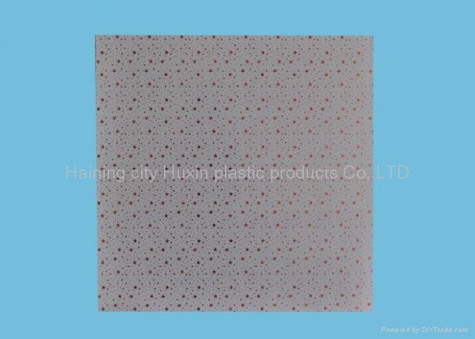 PVC Tongue and Groove Ceiling Panel Colors 5