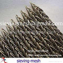 Wire Mesh Conveyor belt