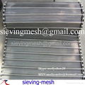 Wire Mesh Conveyor belt 3