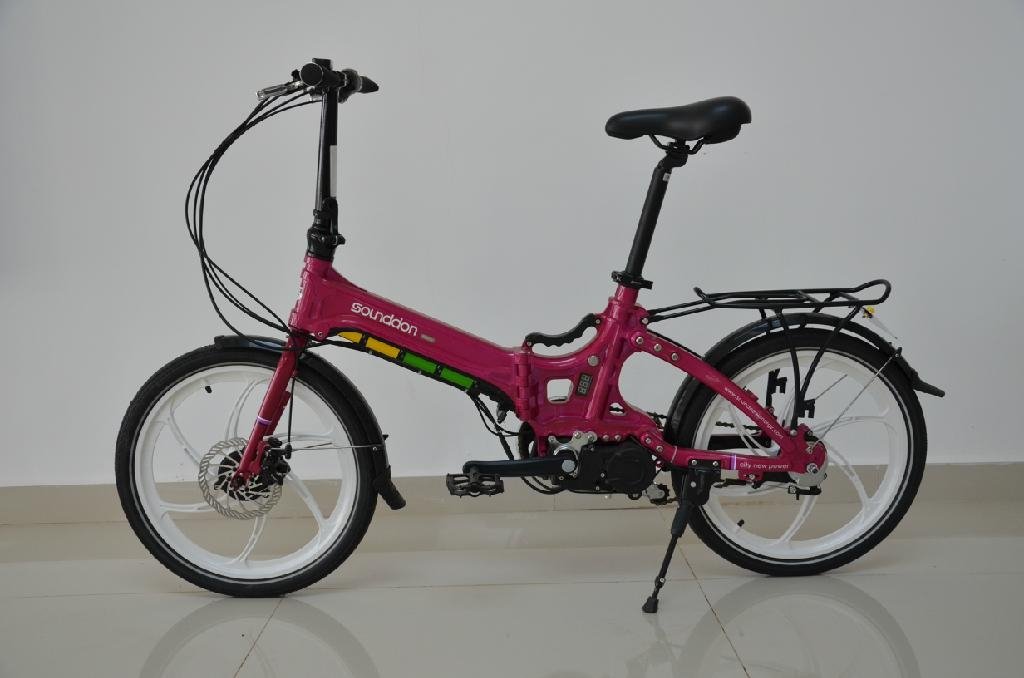 36V/8Ah Lithium Battery Electrical Bike for Ladies 2