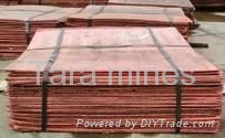 copper cathode