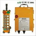 Overhead Crane hoist wireless Radio