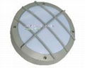 Wall Light 7W