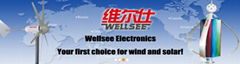 Wuhan Wellsee New Energy Industry Co., Ltd