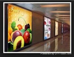 backlit pvc flex banner for digital printing