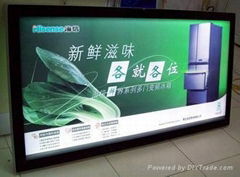 backlit pvc flex banner for digital printing