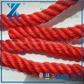 3 strand PP(Polypropylene) packing rope for sale 2