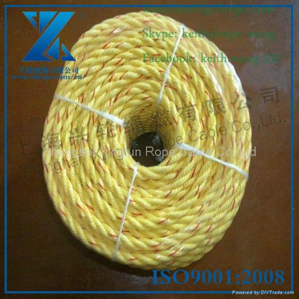 pp rope manufacturer for 40 years