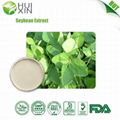 Soybean Extract 10%--90% Isoflavone  2