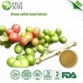 Green coffee bean Extract 30%,40%.50%  1