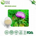 Milk Thistle Extract 98% 1