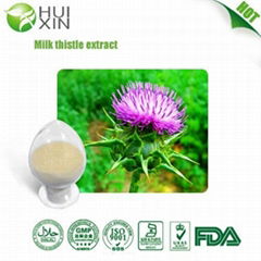 Milk Thistle Extract 98%