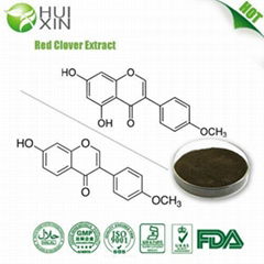 Red clover Extract 8% 20% 40%xtract 8%