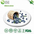 Bilberry extract 25%,30%,40% 1