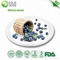 Bilberry extract 25%,30%,40%