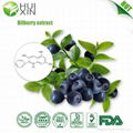 Bilberry extract 25%,30%,40% 2