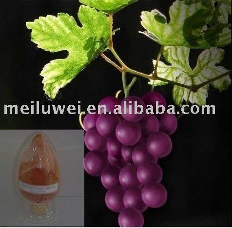 herbal extract---grape seed extract powder