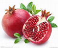 organic fruit extract---pomegranate fruit powder