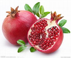 organic fruit extract---pomegranate