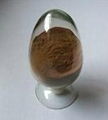 High quality reishi mushroom extract