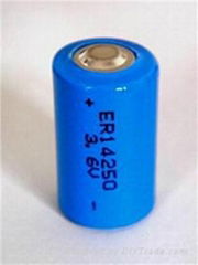 1/2AA lithium battery ER14250 3.6V 1200mAh