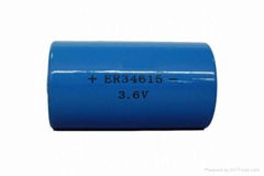 D Lithium battery ER34615 3.6V 19000mAh