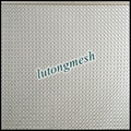 Metal ring mesh 4